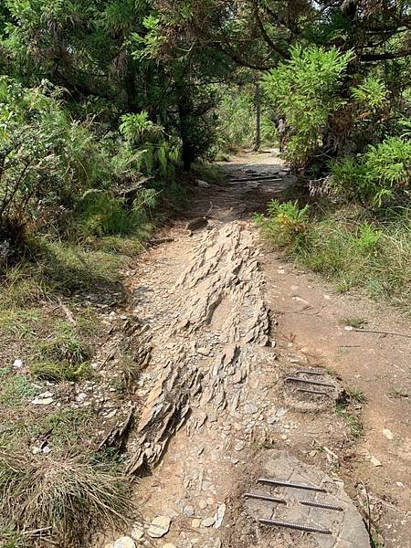 LINE_ALBUM_翠峰湖環山步道_220919_96.jpg