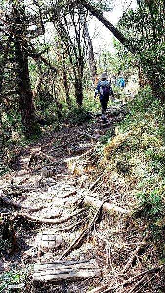 LINE_ALBUM_翠峰湖環山步道_220919_103.jpg