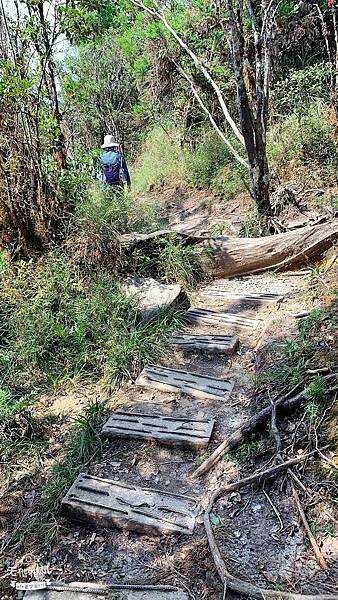 LINE_ALBUM_翠峰湖環山步道_220919_101.jpg