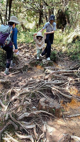 LINE_ALBUM_翠峰湖環山步道_220919_105.jpg