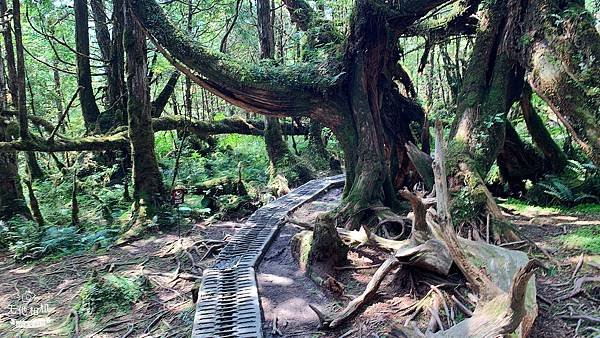 LINE_ALBUM_翠峰湖環山步道_220919_117.jpg