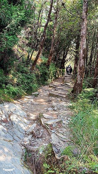 LINE_ALBUM_翠峰湖環山步道_220919_151.jpg