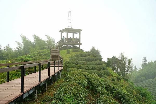 南投鹿谷小半天-大崙山景觀台-7.jpg