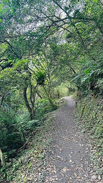 LINE_ALBUM_林美石磐步道_230521_8.jpg