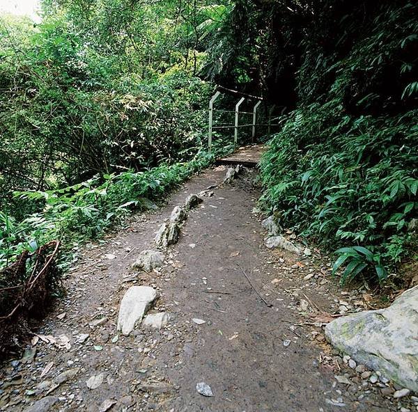 112.10.21宜蘭山水之旅～訪林美步道．仁山植物園．遊生