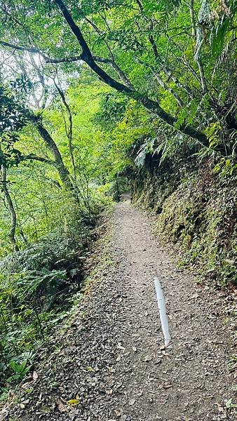 LINE_ALBUM_林美石磐步道_230521_6.jpg