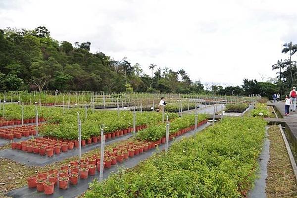 112.10.21宜蘭山水之旅～訪林美步道．仁山植物園．遊生