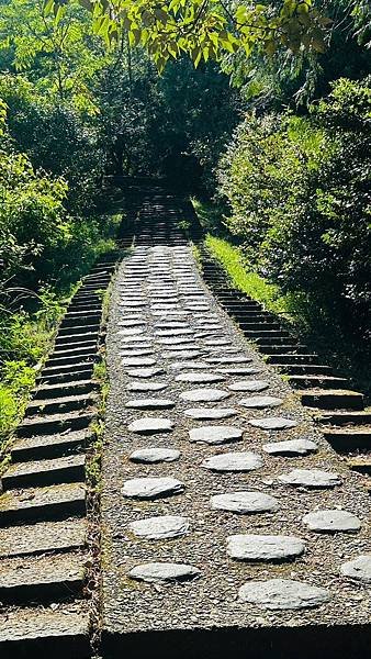 LINE_ALBUM_仁山植物園_230821_6.jpg