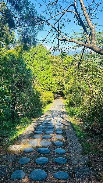 LINE_ALBUM_仁山植物園_230821_9.jpg