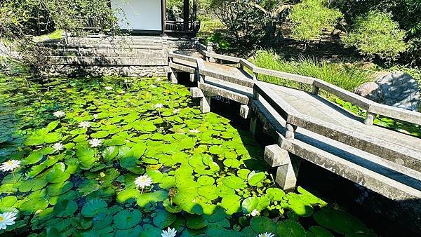 LINE_ALBUM_仁山植物園_230821_25.jpg