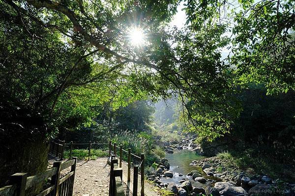 113.04.27南庄山城之旅～老街．魚道．桐花．螢火蟲