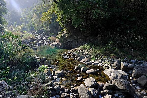 113.04.27南庄山城之旅～老街．魚道．桐花．螢火蟲