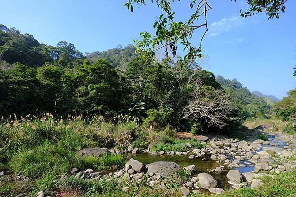 113.04.27南庄山城之旅～老街．魚道．桐花．螢火蟲