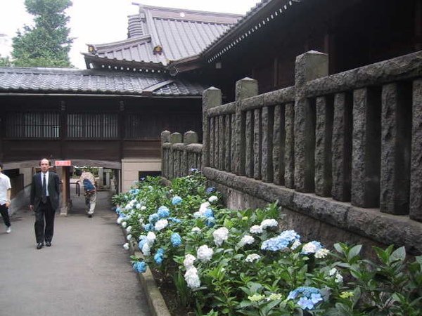 白山神社04.jpg