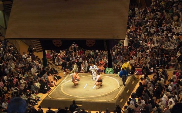 Sumo.JPG