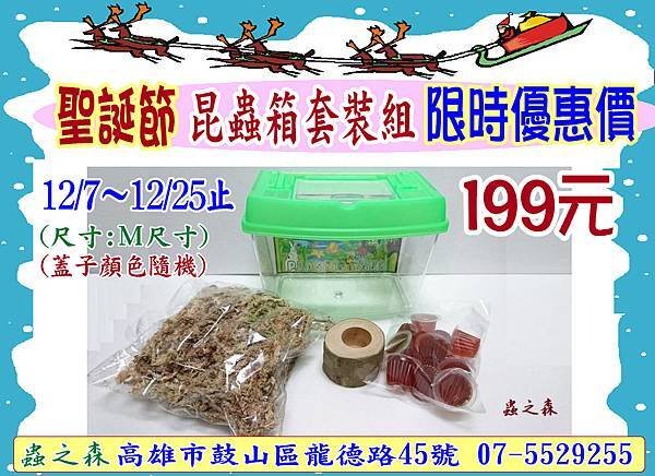 🎄昆蟲箱套裝組🎁 聖誕節 限時優惠價,一組 $199