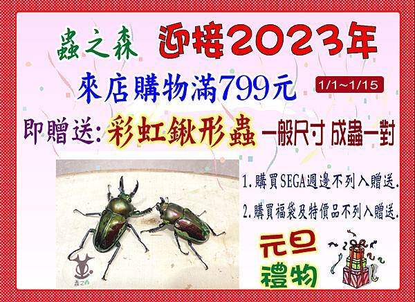 ★蟲之森~迎接2023年~贈送元旦禮物！2023年1/1~1