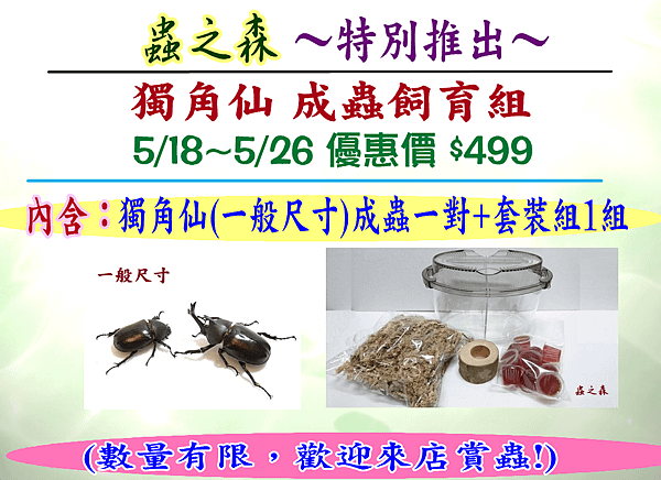 獨角仙成蟲飼育組-2.PNG