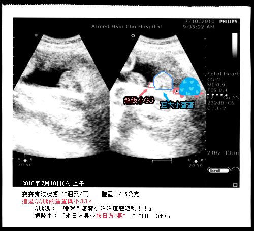 31_QQ熊的小G蛋.jpg