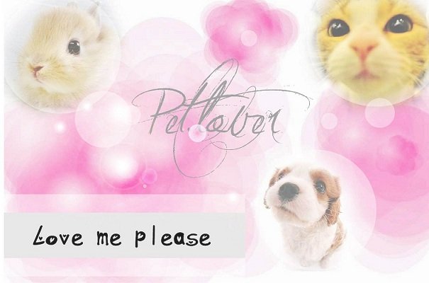 [INFINITE] Pet lover *