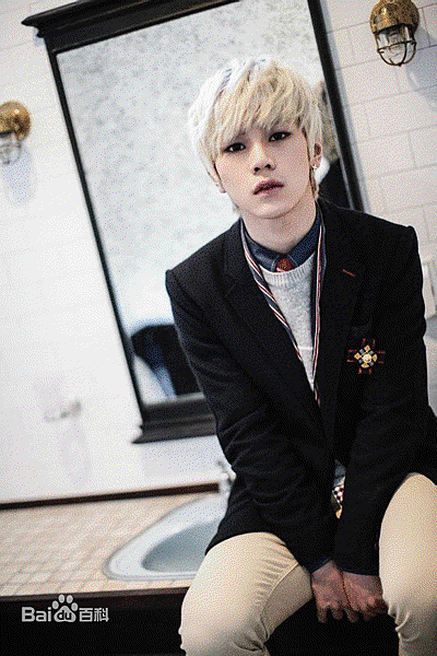 所屬團體：ToppDogg 本名：金韓率 藝名：Hansol(한솔) 生日：1993年06月15日 身高：172cm 体重：61kg