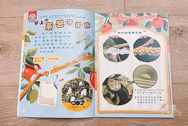康軒學習雜誌｜孩子成長路上的智慧寶典，從多元主題到趣味學習，