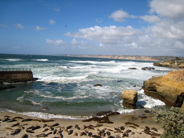 La Jolla Cove 1.JPG