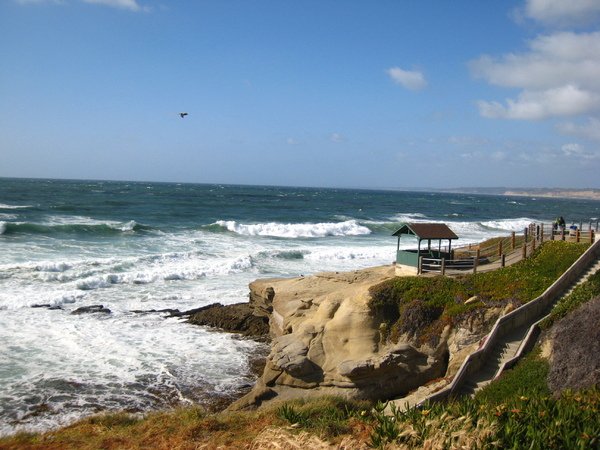 La Jolla Cove 2.JPG