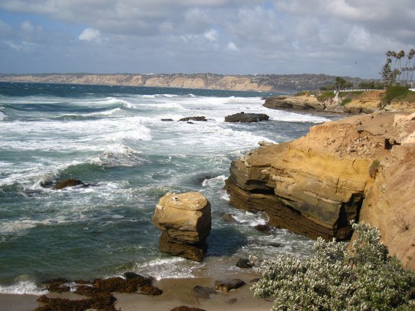 La Jolla Cove 4.JPG