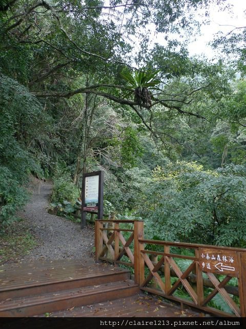 P1490628.JPG