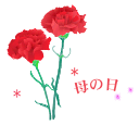 carnation_010a