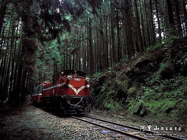 阿里山國家風景區.jpg