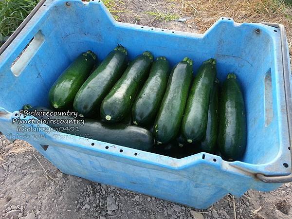 20140903_072141.jpg