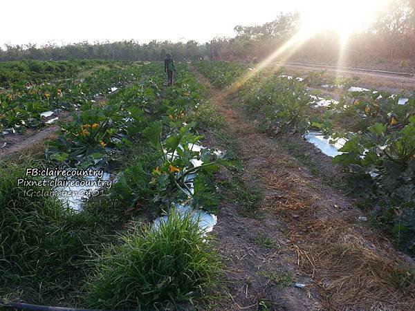 20140903_072144.jpg