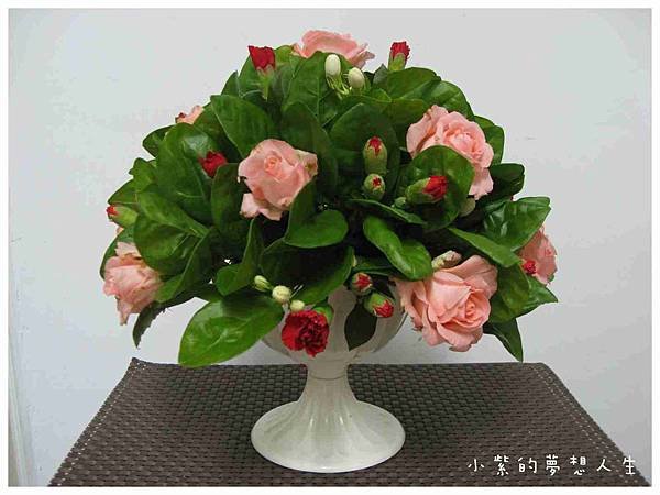 20100803-11.JPG
