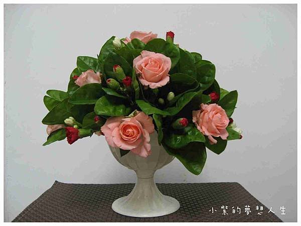 20100803-13.JPG