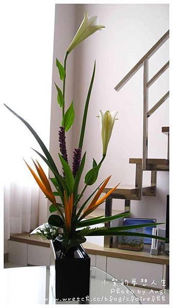 20100618-4.jpg