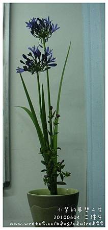 20100604-1.jpg