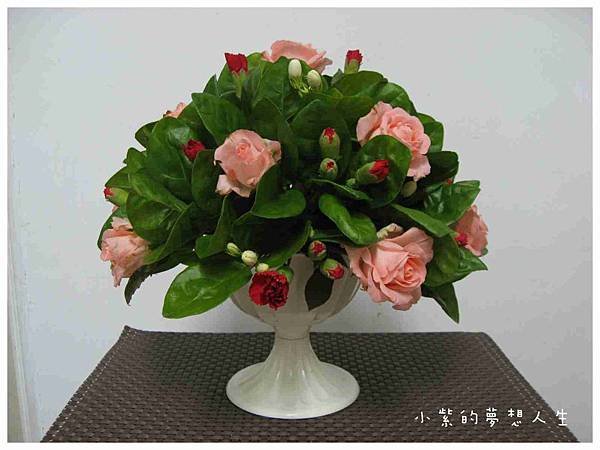 20100803-14.JPG
