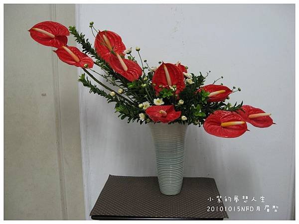 20101015-5.JPG