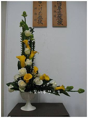 20101126-5.JPG