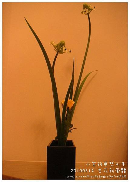 20100514-1.jpg