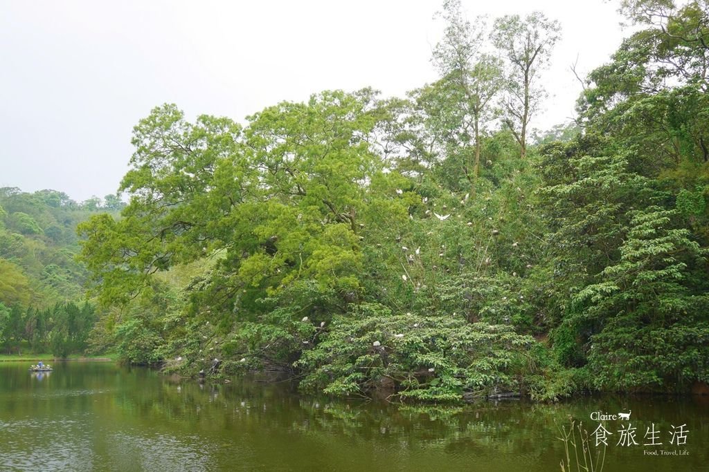 P1070251.JPG