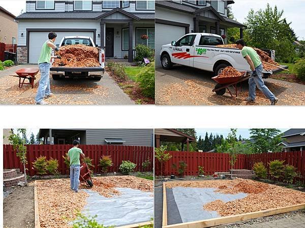 backyard and wood chips