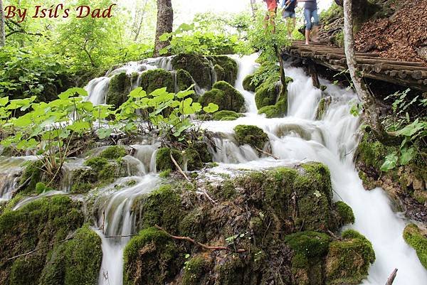 Croatia, Plitvice N. P.-120608-052-上湖區