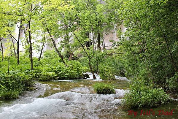 Croatia, Plitvice N. P.-120608-093-上湖區