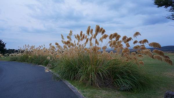 DSC07351-1.東加里諾國家公園