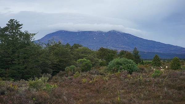 DSC07425-1.魯阿佩胡火山 (Mt. Ruapehu)