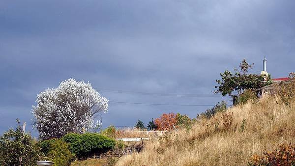 DSC07464-1.Taihape