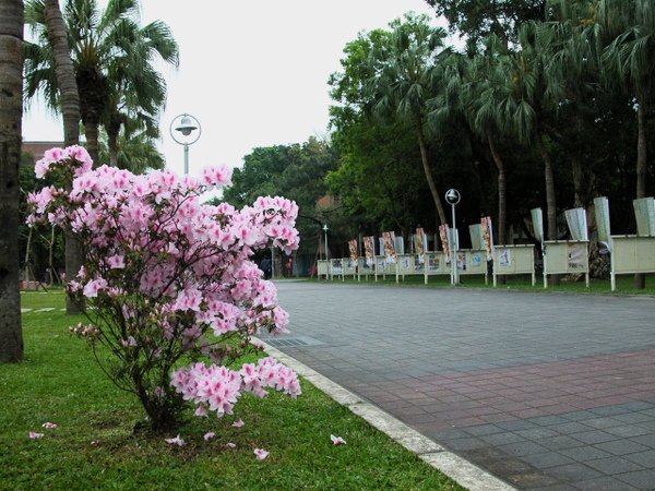 DSCN4114.jpg